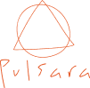 Pulsara_logo_BRANCO 1